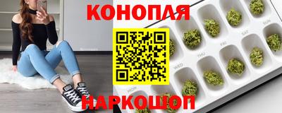 прущие грибы Малоярославец