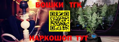 индика Мариинск
